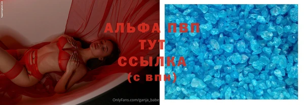 индика Алексин