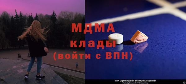 индика Алексин