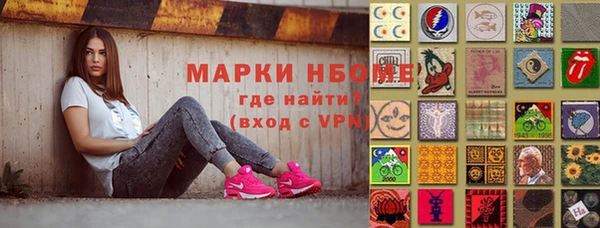 индика Алексин