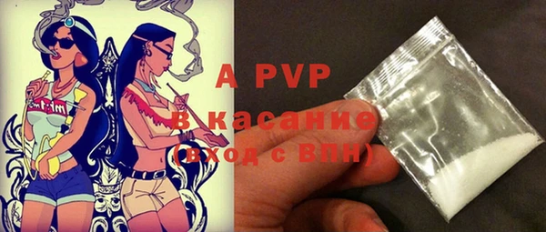 индика Алексин