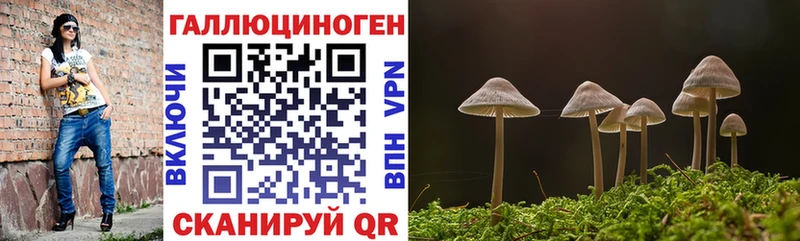 Псилоцибиновые грибы ЛСД Нелидово